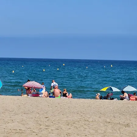 Sur La Presqu'ile Des Dosses * Le Barcares